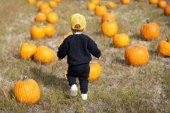 0057-9co-fall-festival-2025