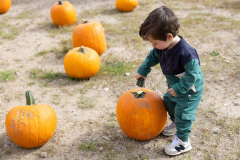 0133-9co-fall-festival-2025