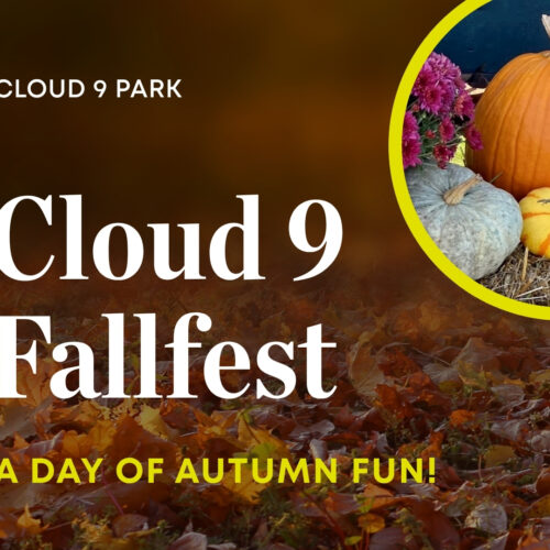 Cloud 9 Fallfest flyer with pumpkins, flowers, and autumn leaves promoting a seasonal community event.